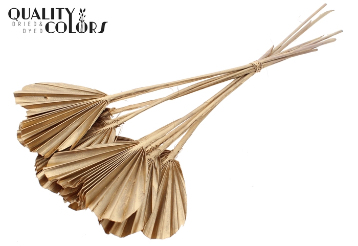 Palm Spear Heart per stem Antique Gold