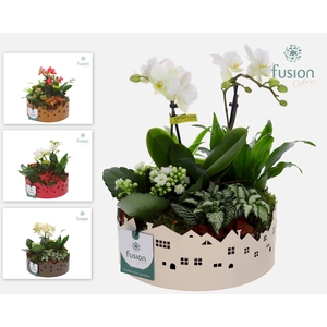 Zinken schaal Huisjes Medium met arrangement