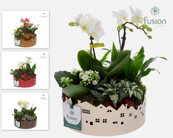 <h4>Zinken schaal Huisjes Medium met arrangement</h4>