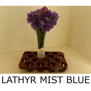 Lathyr Misty Blue