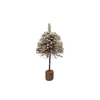 Festive Tree Poplar Moss With Snow 30x30x80cm