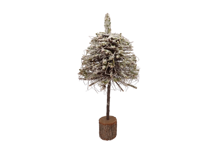 Festive Tree Poplar Moss With Snow 30x30x80cm