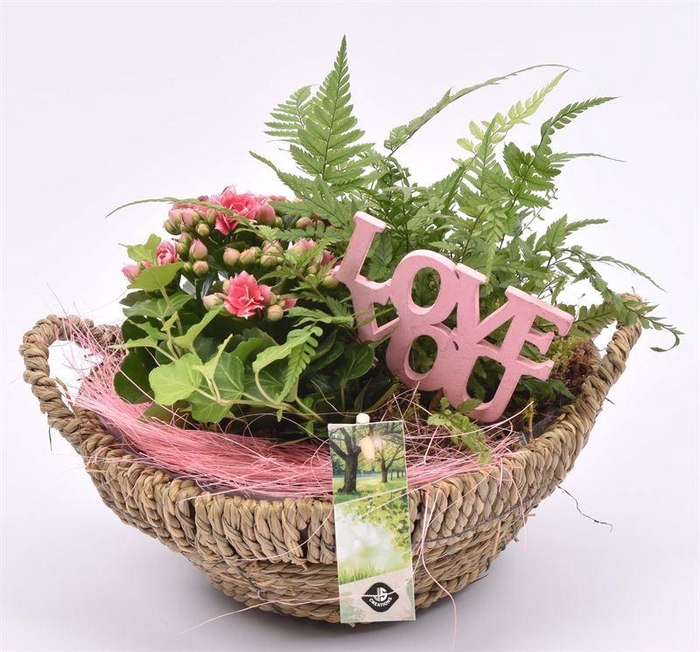 <h4>Touw schaal br. 23cm</h4>