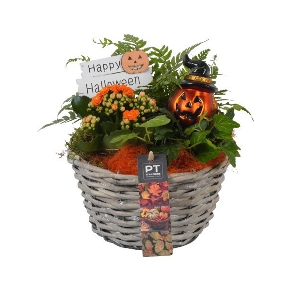<h4>PTHL8729 Arrangement Halloween in rieten mand</h4>