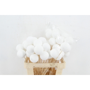 Stick Pear Flock 8cm White