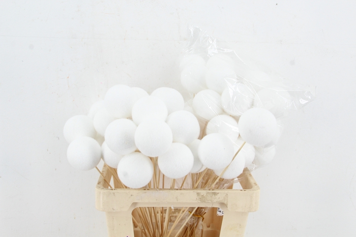 <h4>Stick Pear Flock 8cm White</h4>