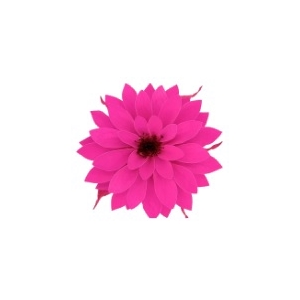 Dahlia pin-07