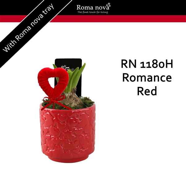 <h4>1180H - Romance Red (Hyacint)</h4>