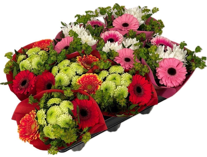 <h4>Bq 8-pack</h4>