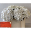 Hydrangea schneeball