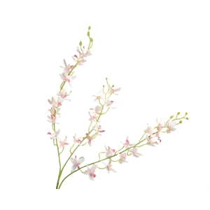 Dendrobium Orchid Pink FL440047PNK