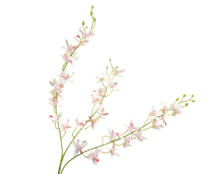 <h4>Dendrobium Orchid Pink FL440047PNK</h4>