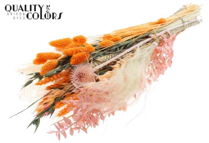 BQT Round Medium Blush