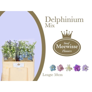 DELPH EL GEMENGD DELPHINIUM MIX
