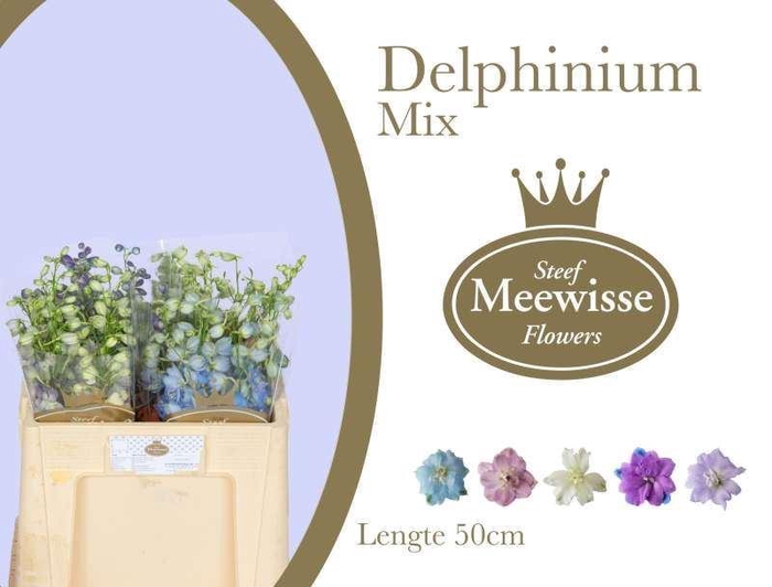 <h4>DELPH EL GEMENGD DELPHINIUM MIX</h4>