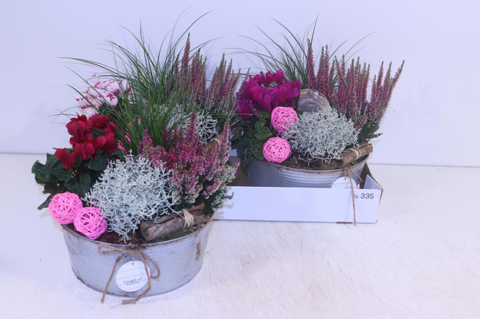 <h4>ARR TUINPLANTEN</h4>