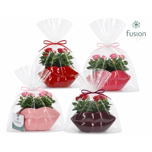 Keramiek Lippen planter met Rosa