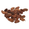 Pinecone Mini Spruce 180g L4