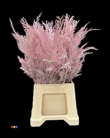 <h4>Coniferen Light Pink</h4>