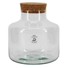 Glass Terrarium Eco milk churn d10/21*21cm