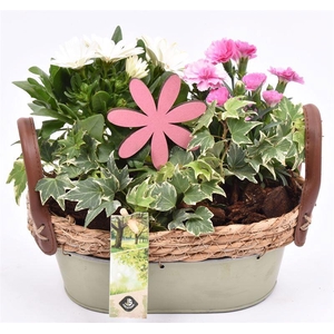 Zink ovaal groen met jute 25x15cm