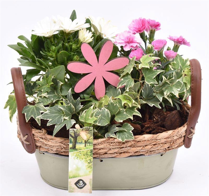 <h4>Zink ovaal groen met jute 25x15cm</h4>