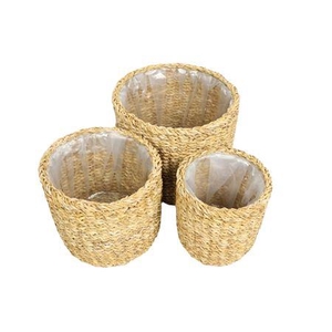 Basket Manatee H20D25 S3