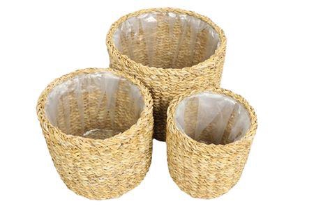 Basket Manatee H20D25 S3