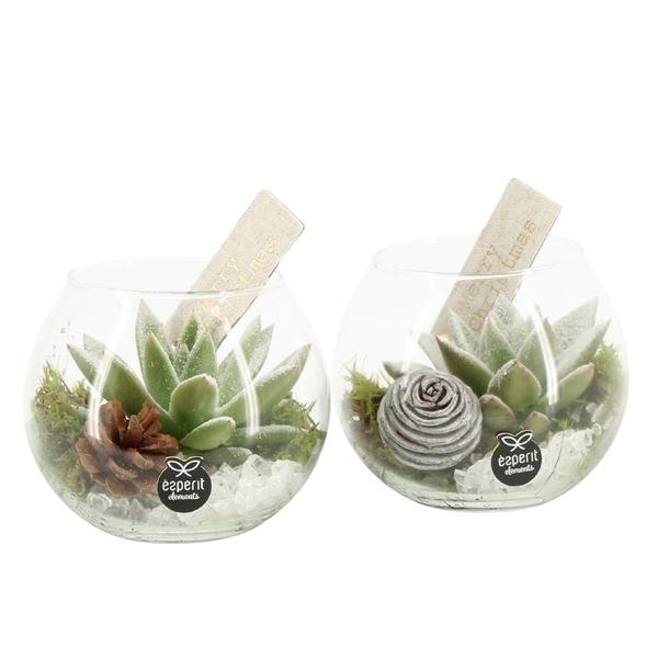 <h4>61684: X-mas arrangement</h4>