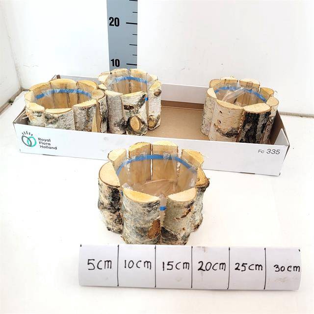 <h4>WOOD ROND D15XH12</h4>