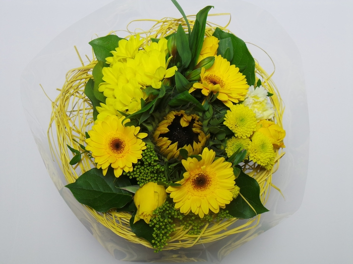 <h4>BQ Sisal Large Yellow</h4>