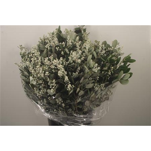 Pitto Ralphi Berry Per Bunch 400 Gram