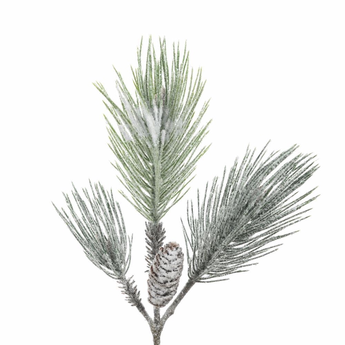 <h4>AF Pinus +Cone L58cm Snow</h4>