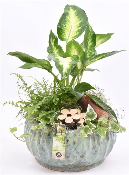 <h4>Keramiek schaal gr/bl 17/19cm</h4>