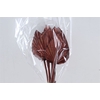 Dried Palm Spear 10pc Brown Bunch