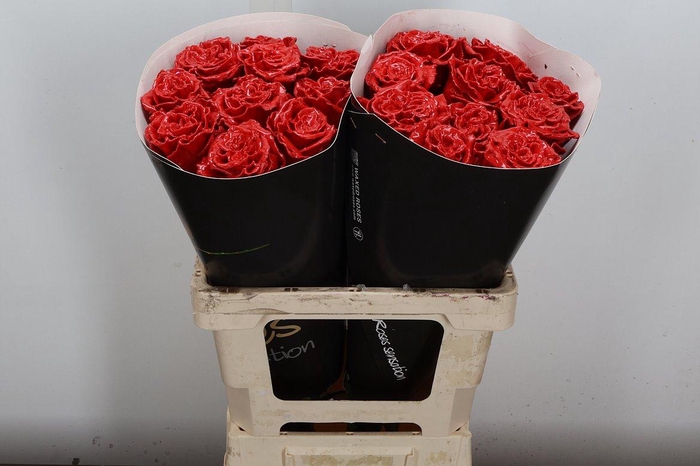 <h4>Wax-Rozen Wax Exclusief Rood</h4>
