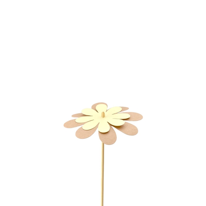 <h4>Sticks 50cm Flower kraft 8cm</h4>