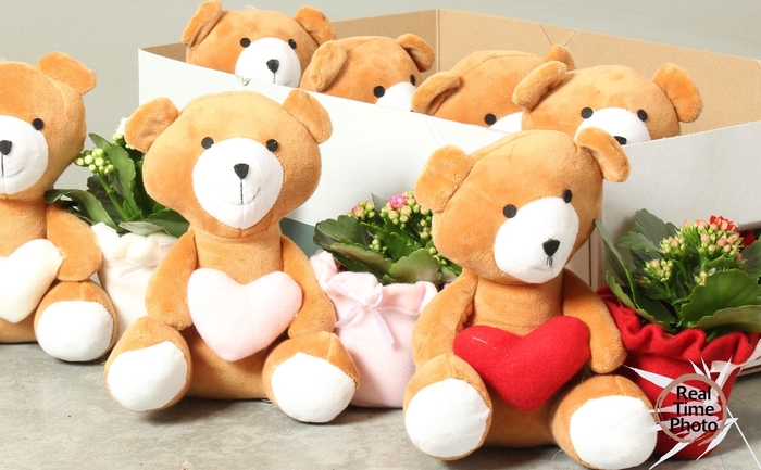 <h4>ARR KAMERPL</h4>