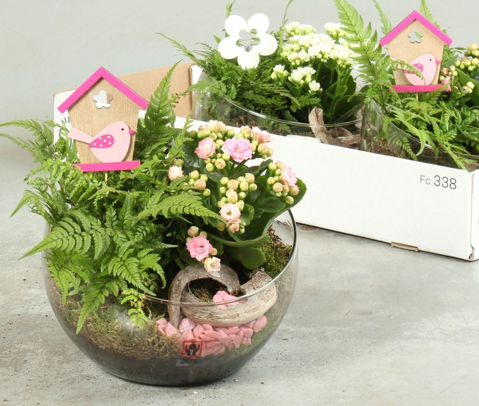 <h4>ARR KAMERPL</h4>