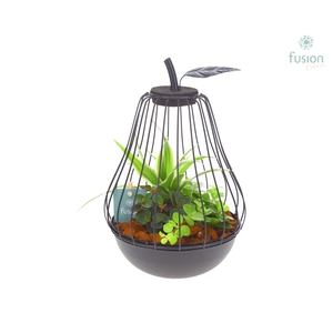 Peer metaal zwart Small met arrangement