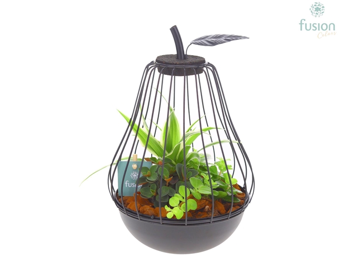 <h4>Peer metaal zwart Small met arrangement</h4>