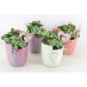 arr2 JS - Ker. hart pot pastel mix x6 - roze