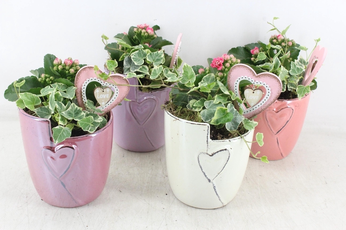 <h4>arr2 JS - Ker. hart pot pastel mix x6 - roze</h4>