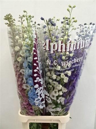 <h4>Delph El Mixed</h4>