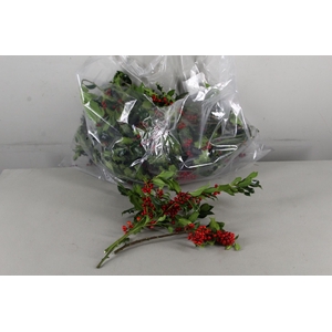 HULST RED BERRY PER KG