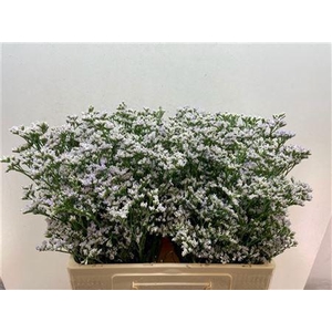 LIM WHITE NETO 60/28GR