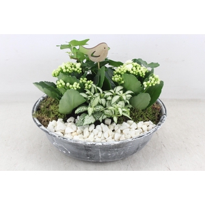 arr2 PL - Zink antiekschaal - wit