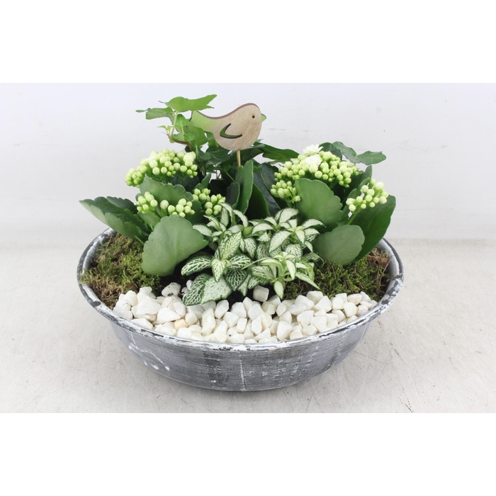 <h4>Arr2 Pl - Zink Antiekschaal - Wit</h4>