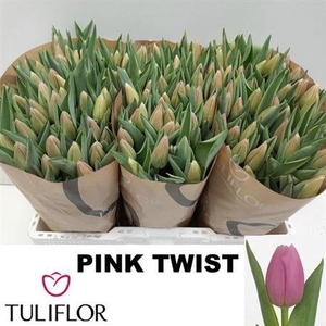 Tu En Pink Twist