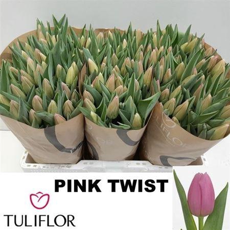<h4>Tu En Pink Twist</h4>